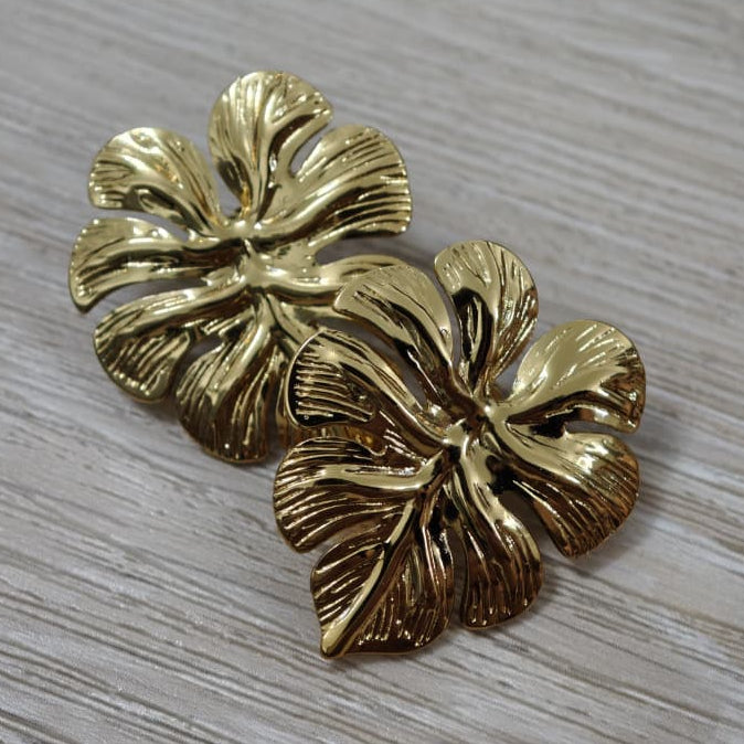 Monstera - Zarcillos