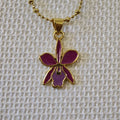 Orquídea - Cadena