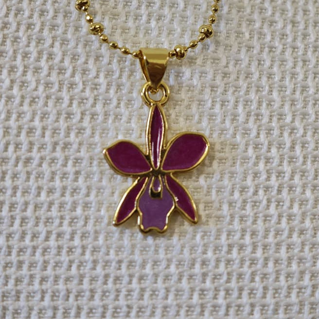 Orquídea - Cadena