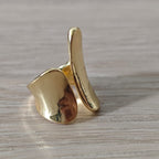 Maxi Plano - Anillo